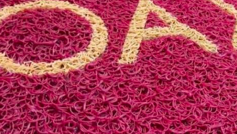 Rizo DELGADO injertado